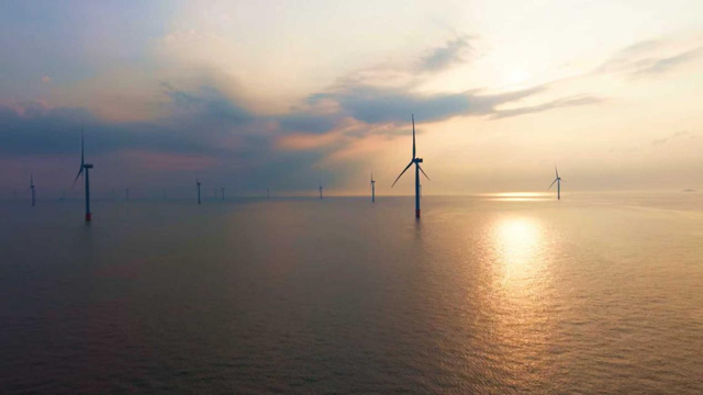 2025年金山十大新闻你来定！