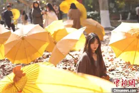 东南大学落叶缤纷再现“最美200米”图片