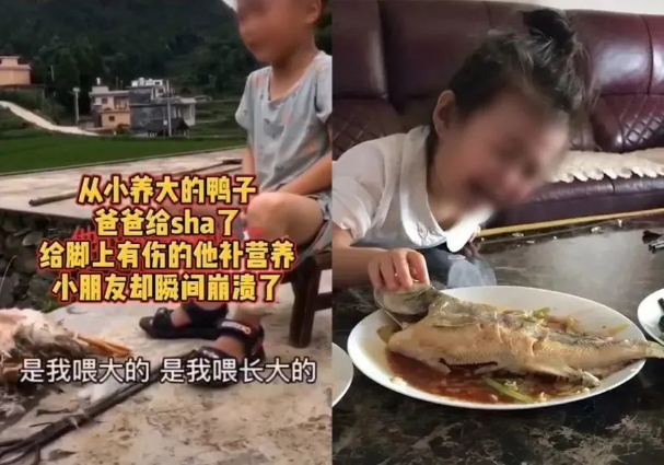 把孩子的宠物杀了吃，还拍视频！这是什么丧心病狂的父母？