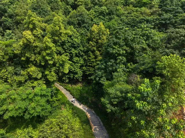 来高明，上秋山！