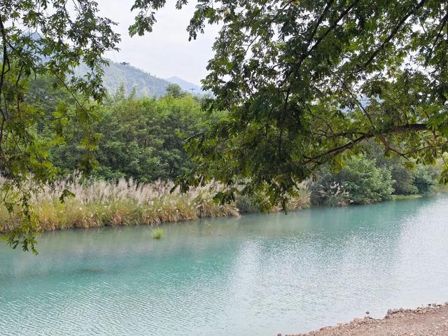 莲都人周末新去处！打卡“现实版开心农场”