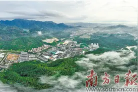 打响荔枝品牌 拥抱诗与远方图片