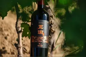 “当烟台遇见波尔多”：葡萄酒架起中法交流桥梁图片