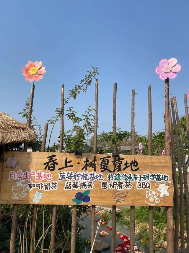 十里花卉长廊亲子游线路：邂逅自然与书香的奇妙之旅