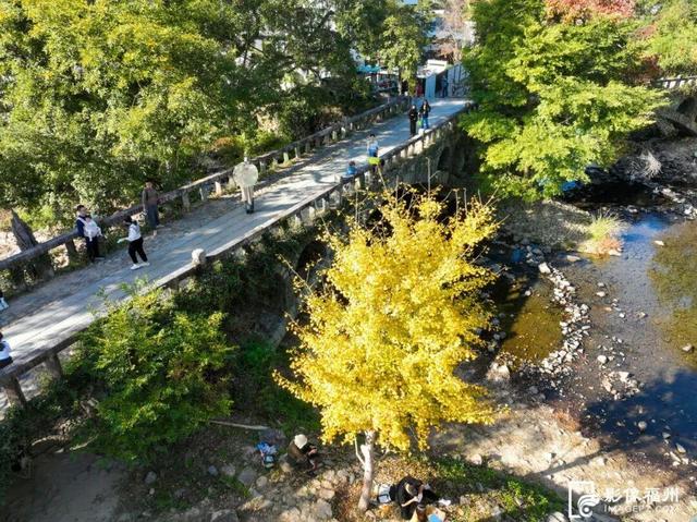 色彩斑斓！福州迎来红叶季