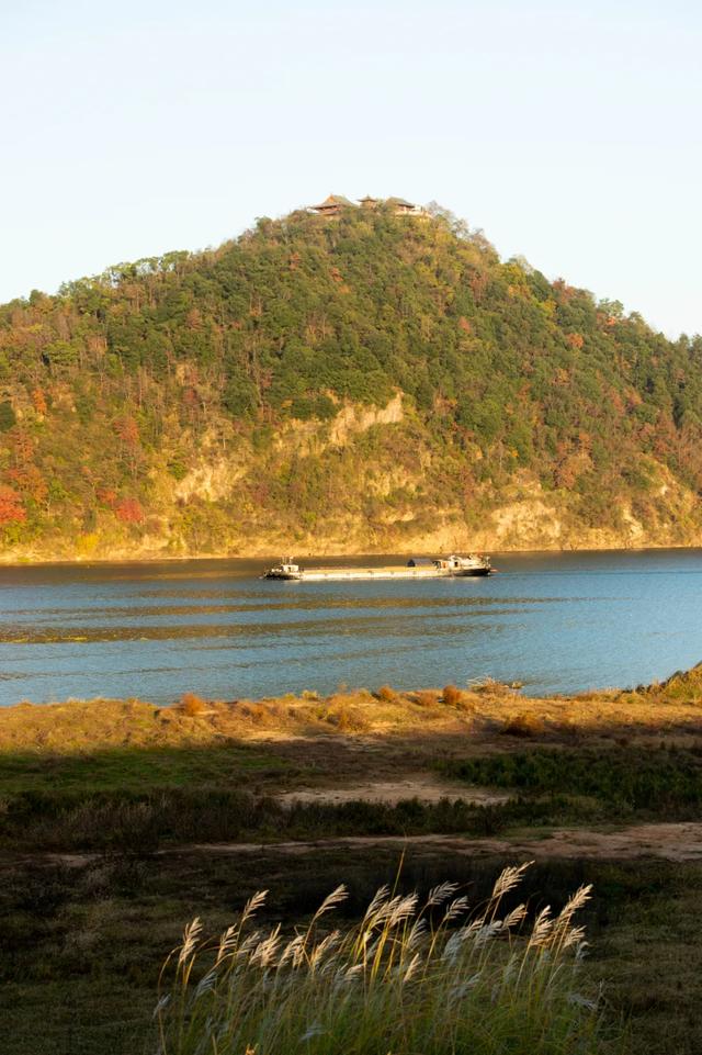 @0731，一组绿心秋色卡，请查收！