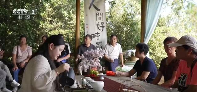 “登山”电梯、外骨骼……景区适老化改造上线 “银发族”出游热潮攀升