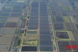 国能岳阳电厂塌西湖项目首次并网成功图片