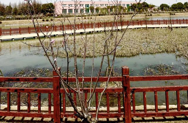 上海旅居⑧｜俄罗斯人马克：有时太快了感觉事情没真正发生过