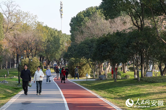 大阳垾公园：鸠江“绿肺”焕新颜