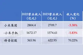 小米与传音控股2023年员工薪酬与人效图片