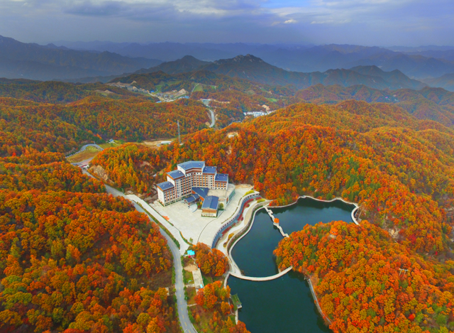 这里红叶进入“巅峰”，抓紧时间，真的会落！