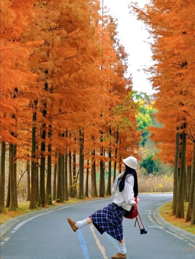 别错过，成都公园里的绝美冬景！