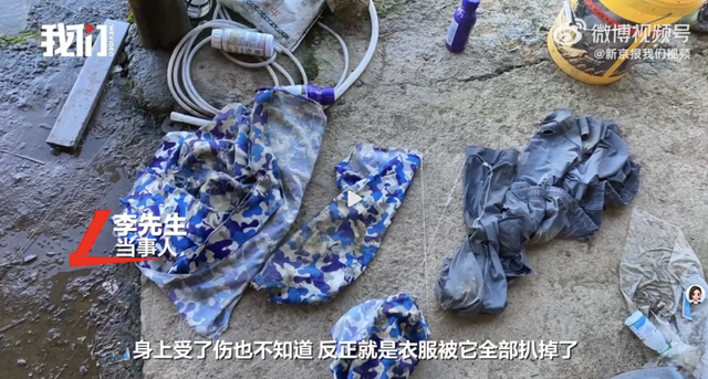 湖北一村民称遭老虎袭击，背部、腰部受伤，衣物被撕烂，当地回应：无老虎分布历史记录