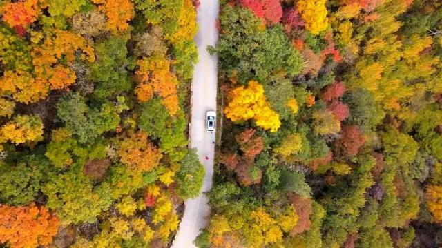 雾灵山：华北的“天然绿肺”，四季皆仙境