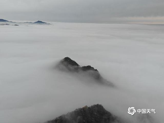 雪后华山现云海景观 漫卷群峰如仙境