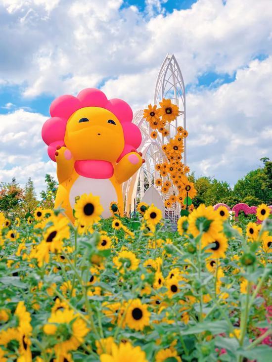 上海秋日浪漫天花板！这些花海美到让人心醉