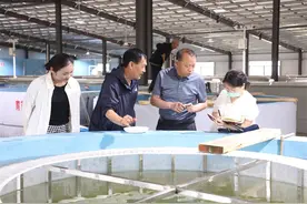 郧西县成功完成鳜鱼苗人工繁殖图片