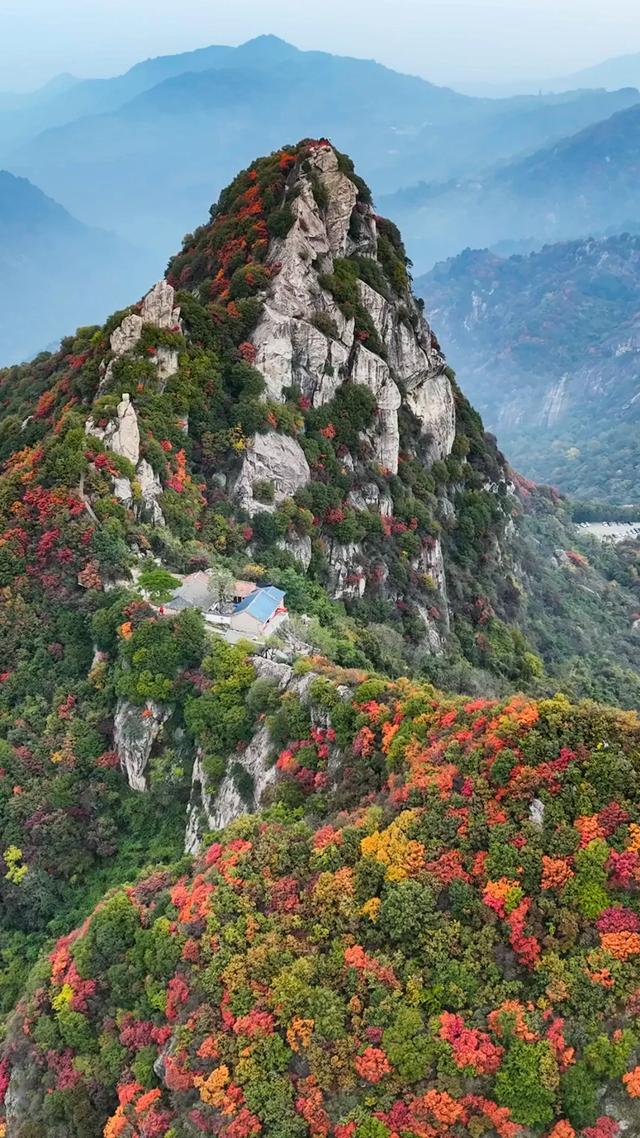 初冬的第一场旅行不如“进山游”→