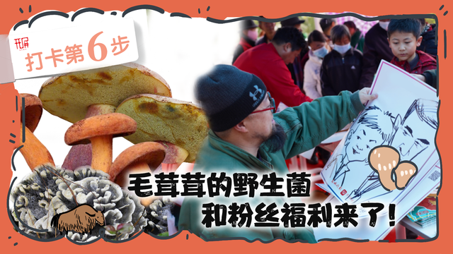 解锁“世界松茸第一村”，总共需几步？