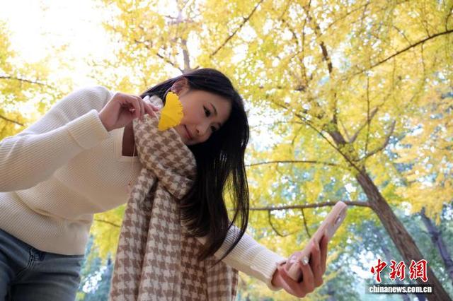 河北石家庄秋韵浓