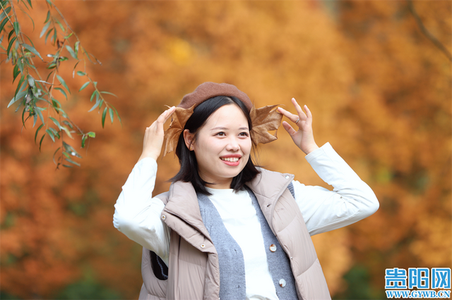 这含“金”量，不摆啦！贵阳的秋天，谁懂？