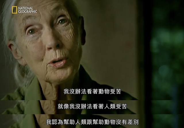 珍·古道尔与动情的人类学