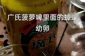 广氏菠萝啤中有蟑螂？企业：生产过程中掺入异物可能性极低图片