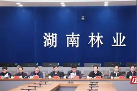 省林业局召开2024年全省林业工作电视电话会议图片