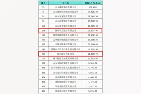 《财富》中国500强榜单发布，潍坊市潍柴、歌尔两家企业上榜图片