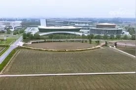 金融“活水”润泽农业根基 今年累计投放种业贷款284亿元图片