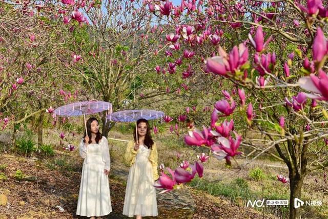 女神优惠盘点！广东“春色满园”！丽人有请