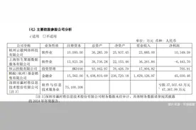 蚂蚁基金2024年营业收入162.91亿元，净利润4.5亿元图片