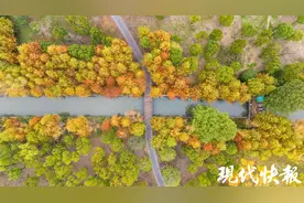 江苏“渐变色”秋景刷屏朋友圈，你想PICK哪个？图片