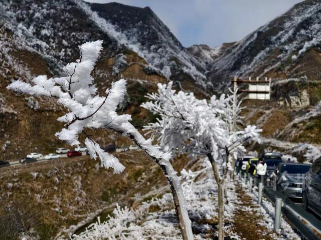 有执念！柳州这个森林公园变身“冰雪王国”，紧急封路也要走上去！