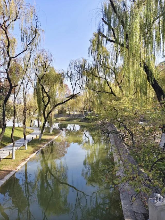 顶级美学!西安这4个园林,美到失语!