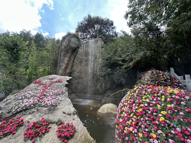 《把22度的山风带回家，定格自然之约》南召县举办首届五朵山媒体、达人采风活动