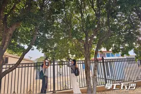 开了美了香了！快来邂逅长沙浓浓桂花香图片