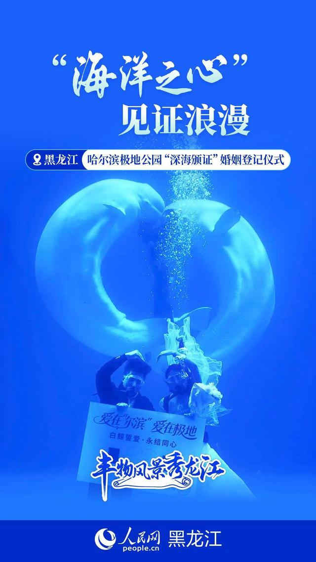 丰物风景秀龙江｜黑土地的绿脉呼吸
