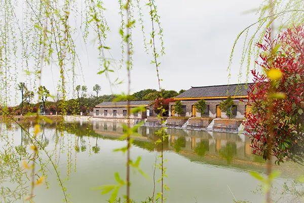 一张“湘超”门票 解锁常德N种玩法