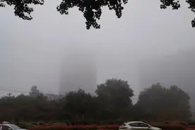 沈阳发布大雾橙色预警！61个高速收费站入口全关闭图片