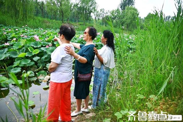 壹点号·秀山东｜黄河公园夏韵悠悠荷满塘