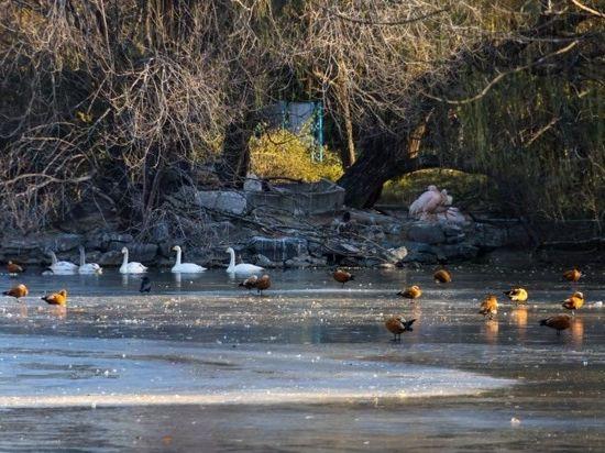 北京号最精彩 | 尽享冬日快乐！京城这些室内冰场等您打卡