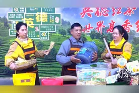 英德九龙镇：汇聚多方力量，奏响“百千万工程”奋进强音图片