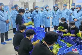 落实食品安全主体责任筑牢校园食品安全防线图片