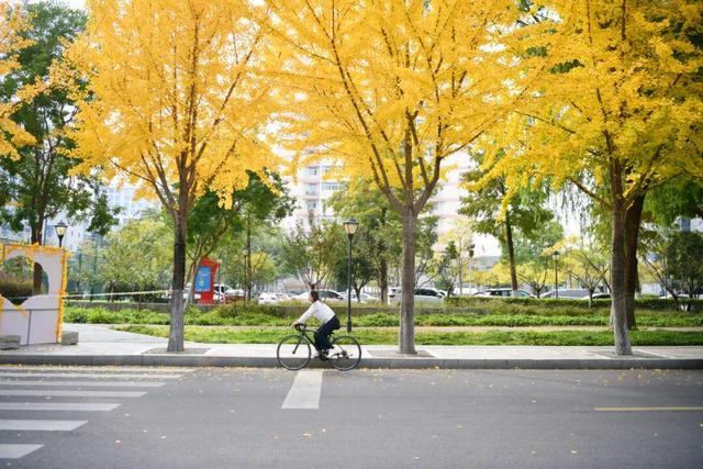 绝美！走，打卡去！