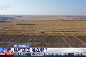 秸秆还田难在哪，回收还有哪些新思路？专家支招图片