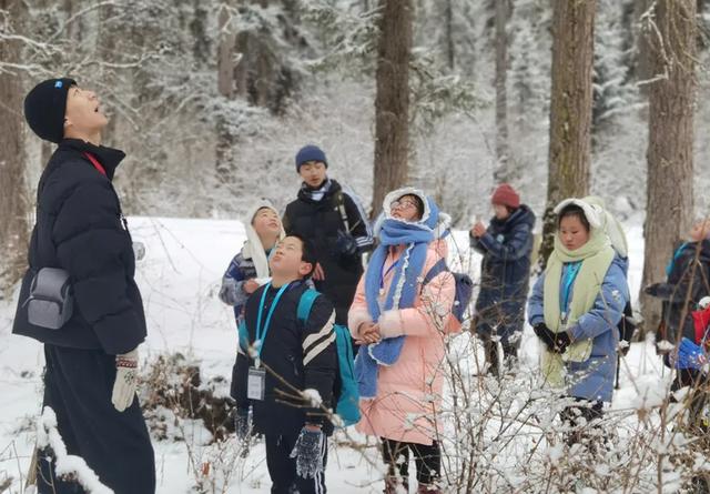 青睐绵阳 ‖ 彩林未尽,大雪已至!初冬的平武美成水墨画卷~