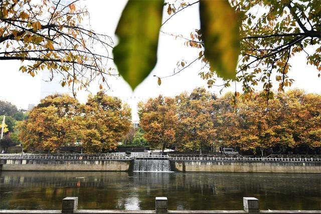 贵阳：初冬时节好风景