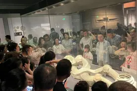 陕历博为什么这么难约？图片